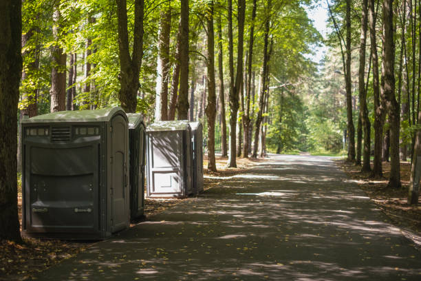 Best Luxury portable toilet rental  in Stryker, OH